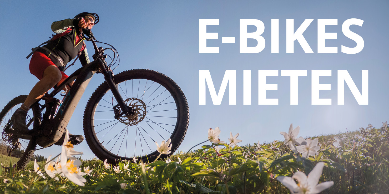 Ebikes mieten 710x354